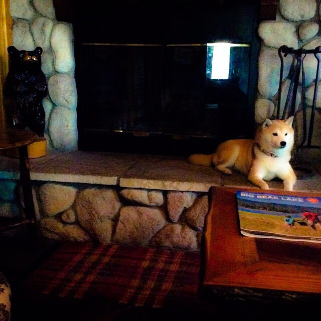 巨星的定义之战，米切尔勇士之夜如何用价值镌刻不朽