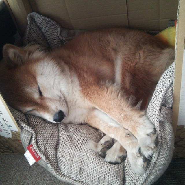 绿茵场上的NBA风云，2026世界杯焦点战中的跨界巅峰对决